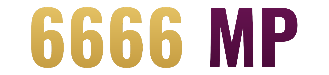 6666.mp